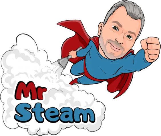 Mr. Steam Car Cleaning